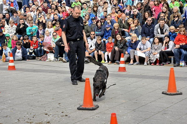 Polizeishow   033.jpg